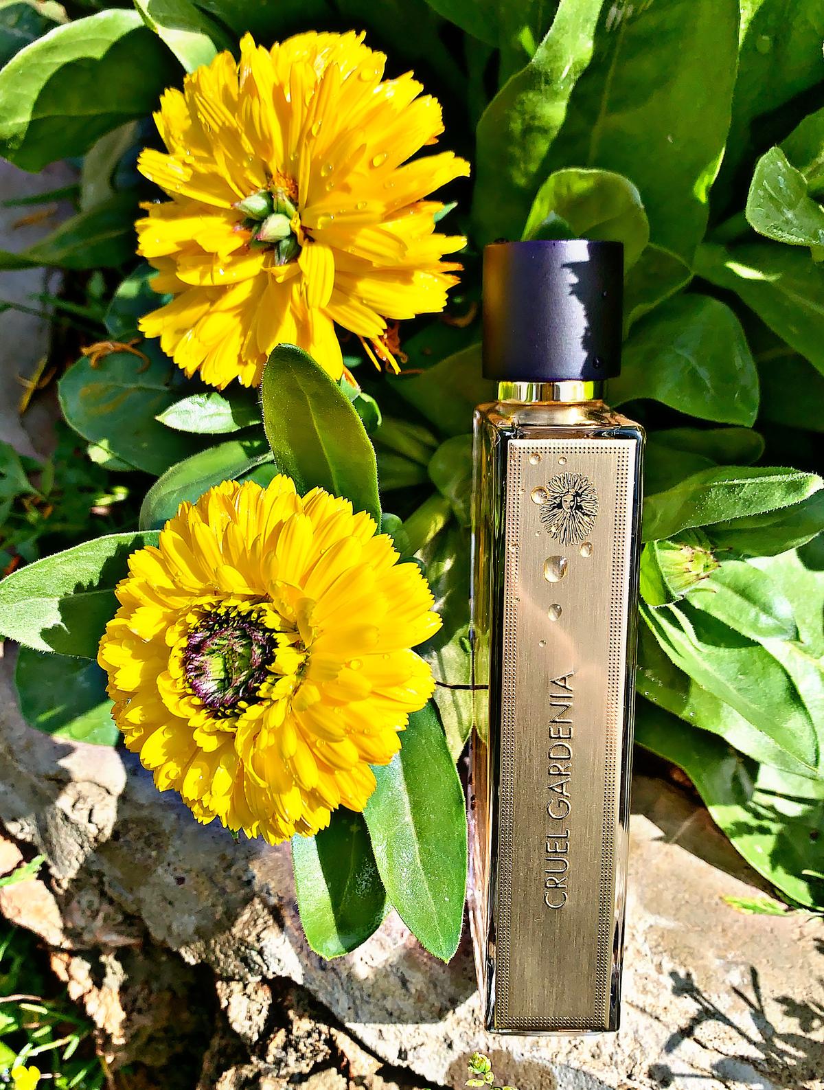 Cruel Gardenia Guerlain perfume - a fragrance for women 2008