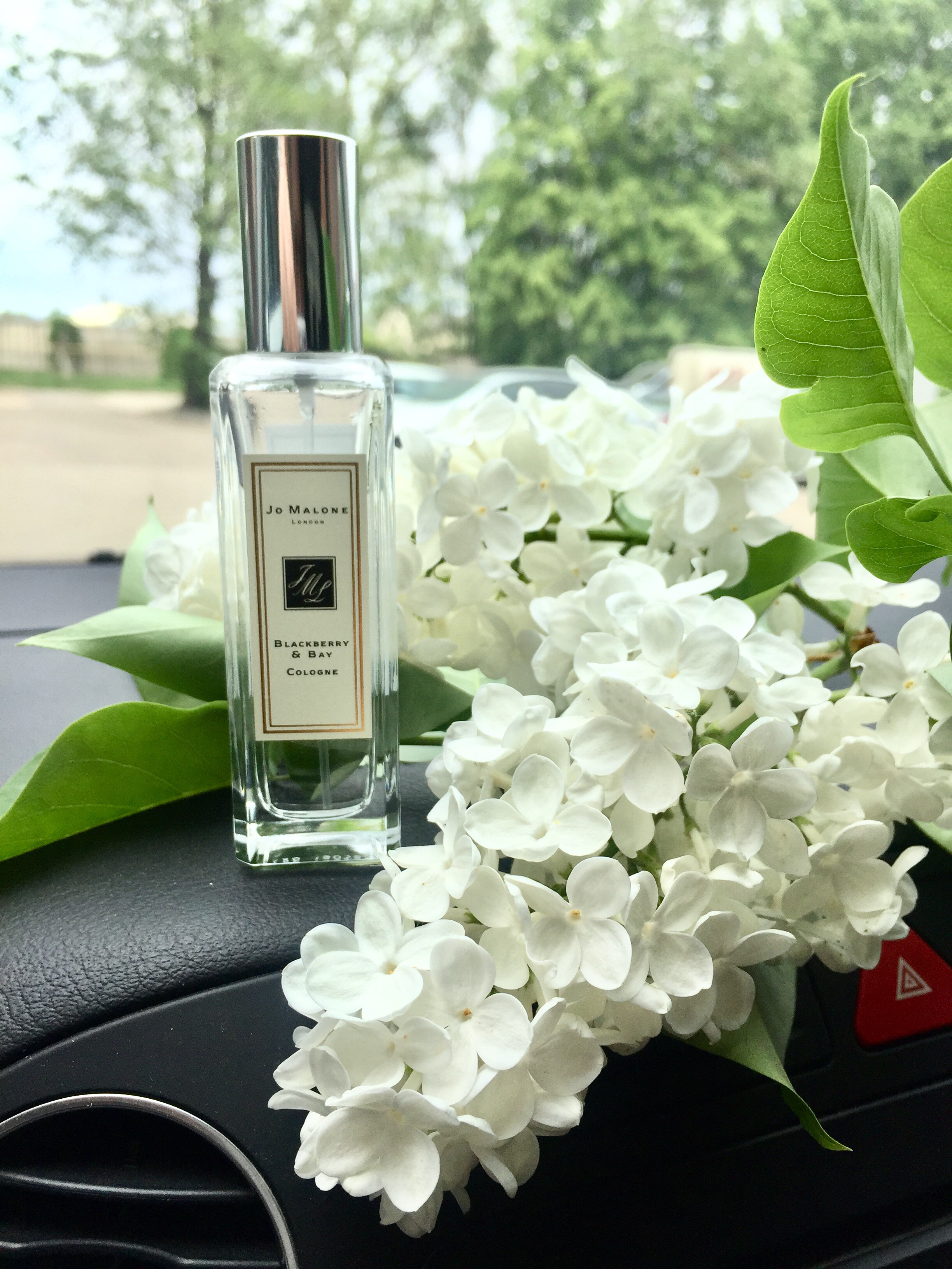 Jo malone bay. Джо Малон блэкберри. Jo Malone BLACKBERRY Bay. BLACKBERRY & Bay Jo Malone London. Jo Malone духи BLACKBERRY Bay.